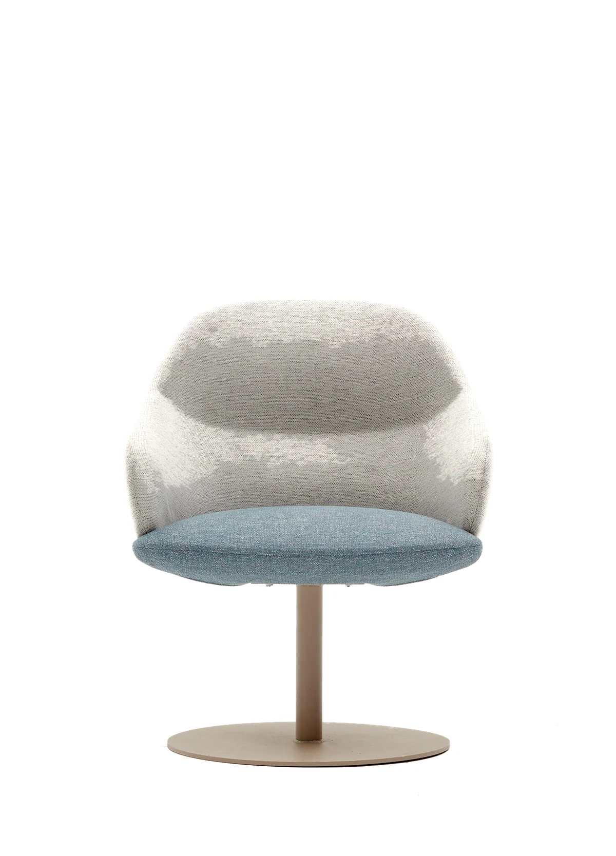 Teddy